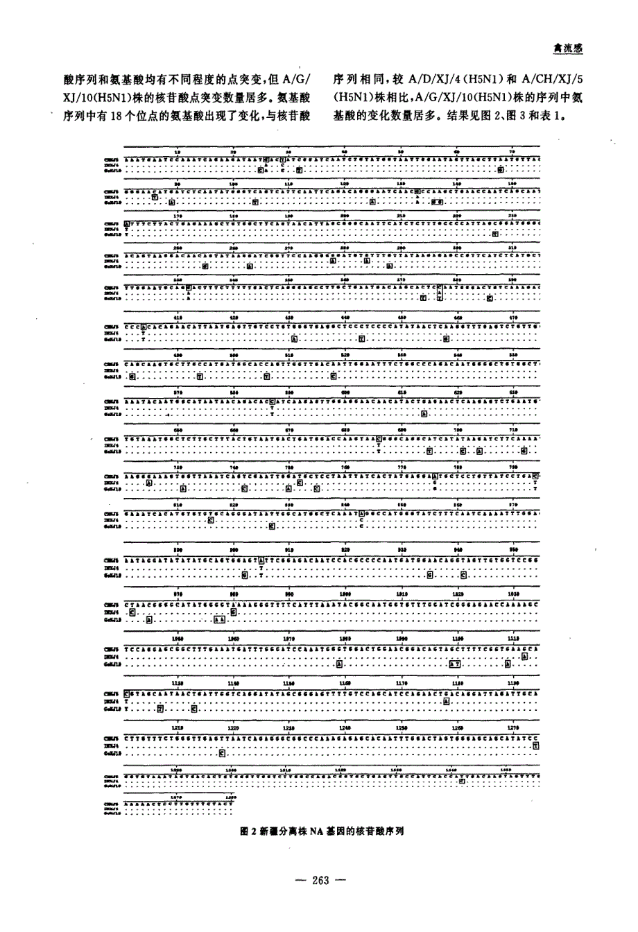 H5N1亚型禽流感病毒新疆株NA基因的克隆及序列分析_第3页