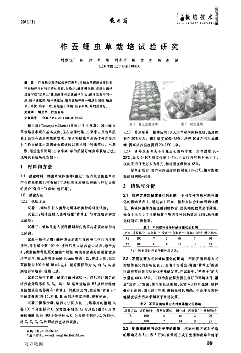 柞蚕蛹虫草栽培试验研究_第1页