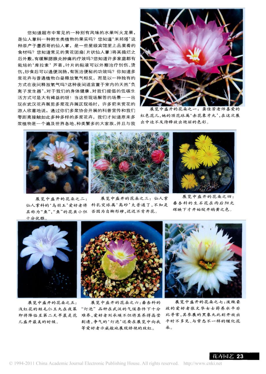 多浆花卉传递美丽印象_第2页