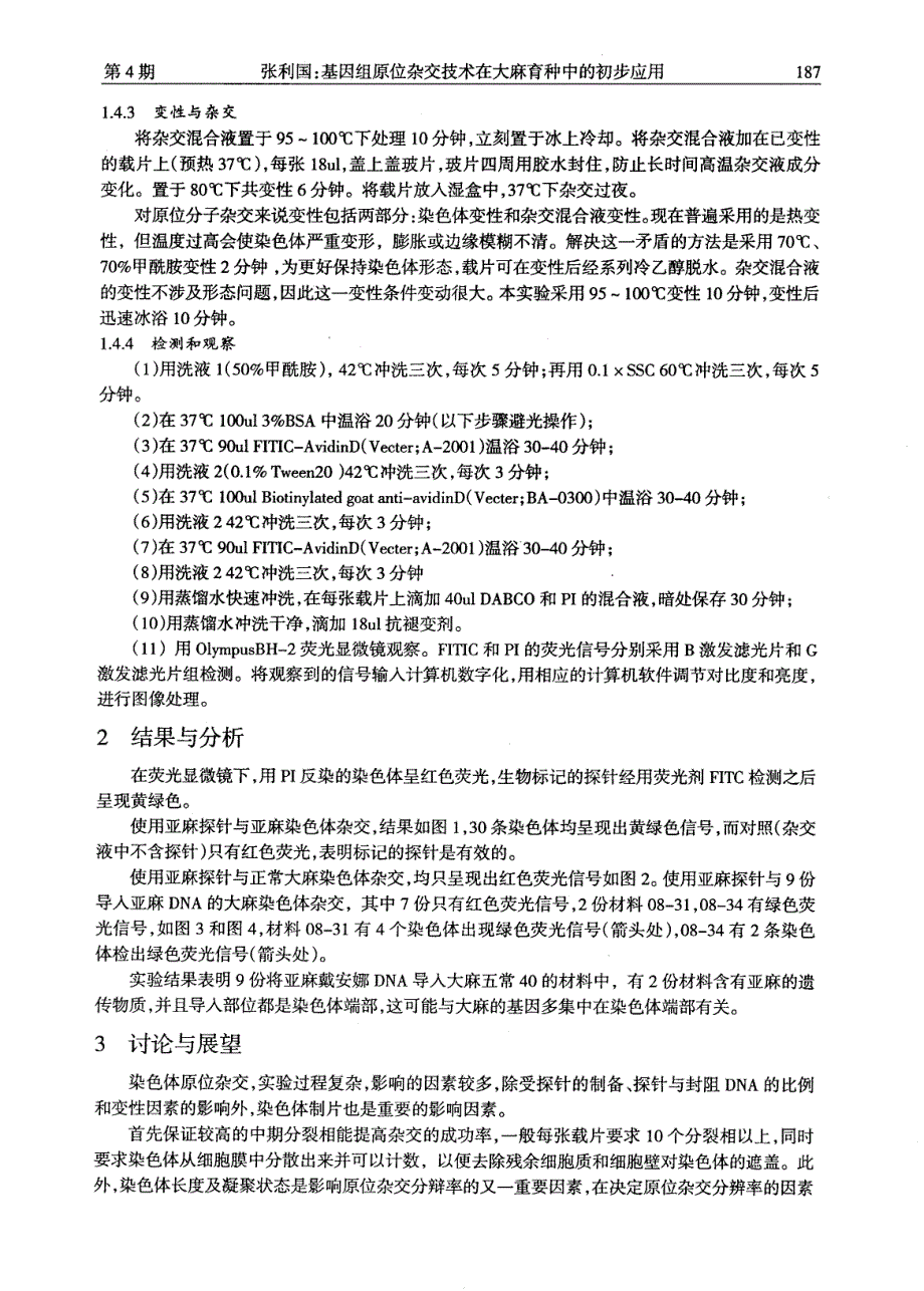 基因组原位杂交技术在大麻育种中的初步应用_第3页