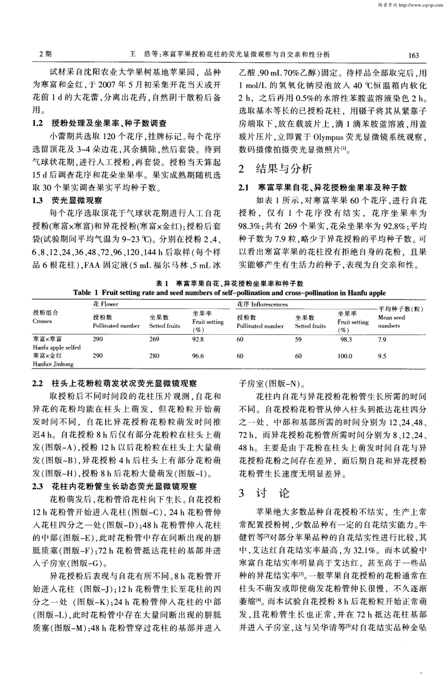 寒富苹果授粉花柱的荧光显微观察与自交亲和性分析_第2页