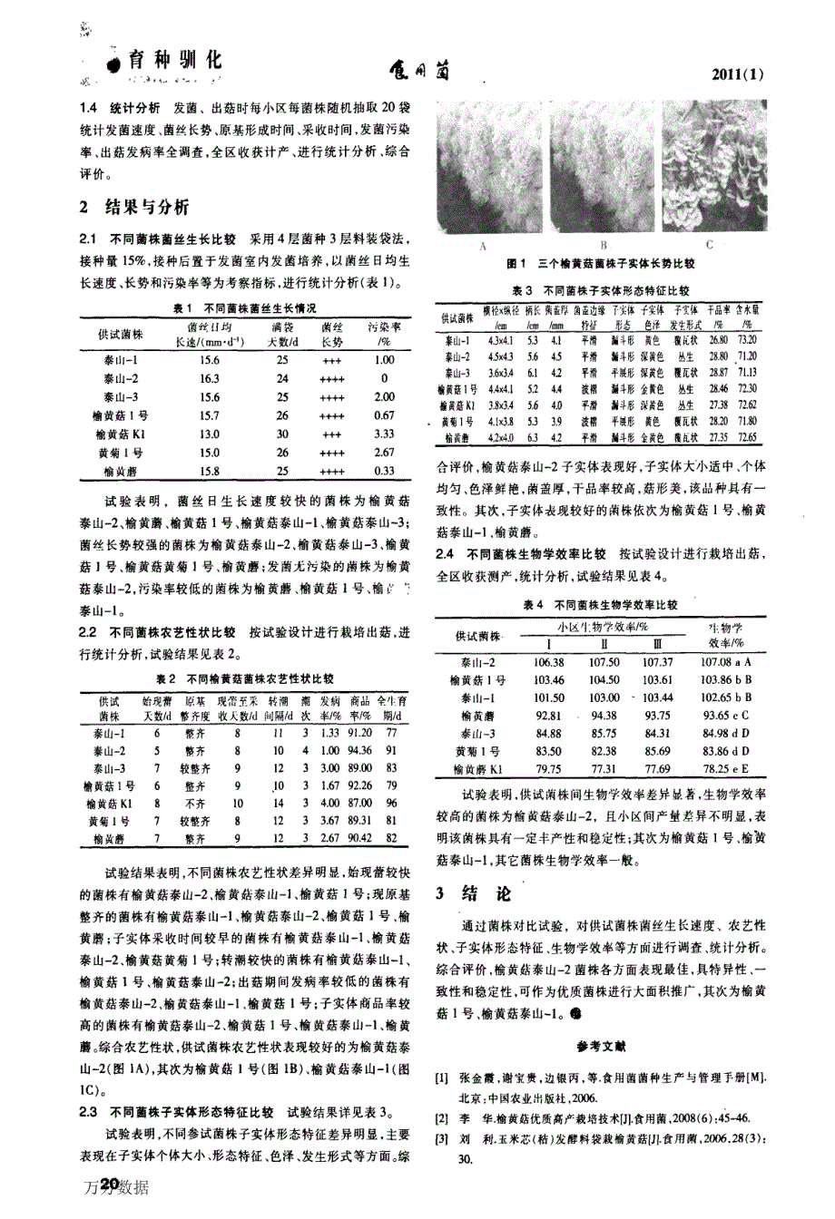 榆黄菇菌株栽培对比试验_第2页