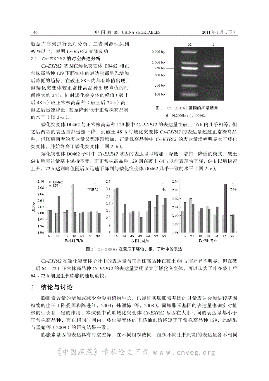 黄瓜矮化突变体膨胀素 Cs-EXPA2 基因的克隆与表达分析_第3页