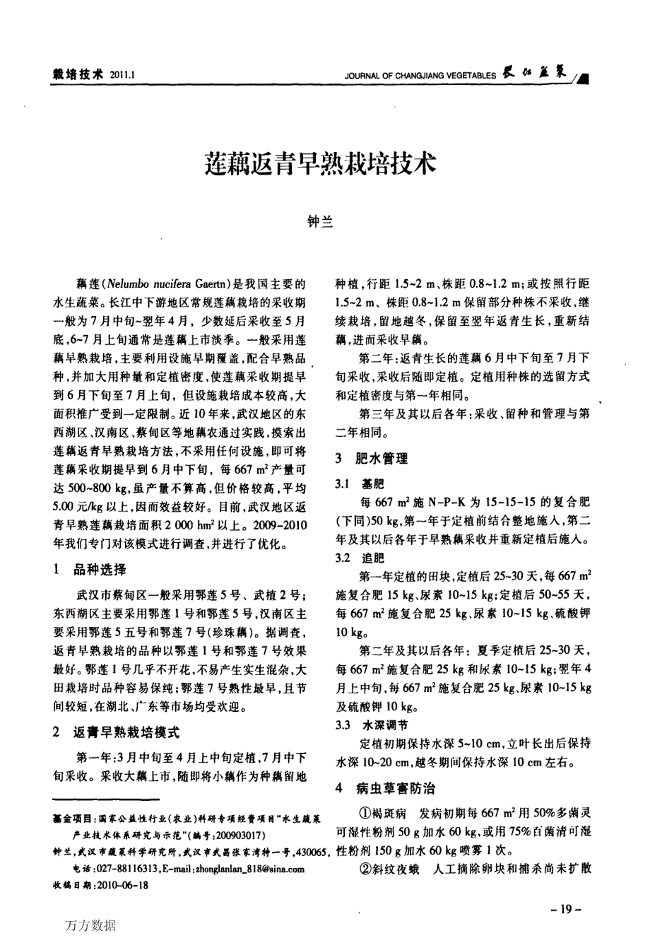 莲藕返青早熟栽培技术_第1页