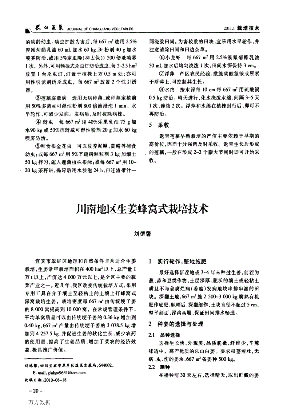 莲藕返青早熟栽培技术_第2页