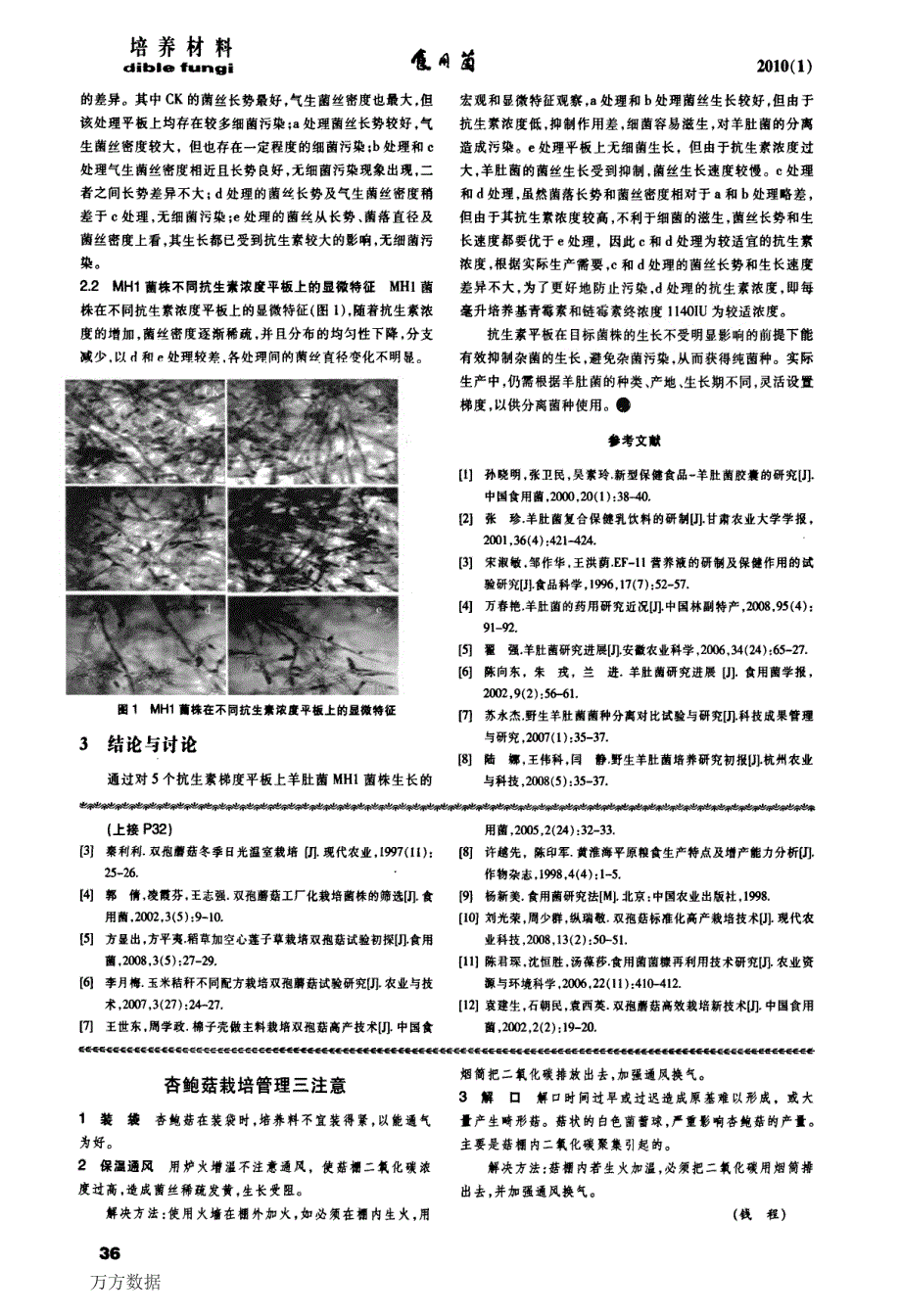 黄淮海地区利用麦秸代替稻草栽培双孢蘑菇的可行性研究_第3页