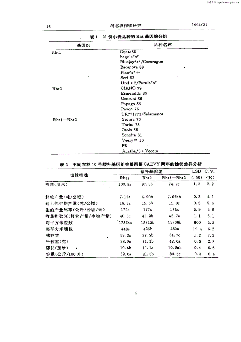 不同Norinlo小麦矮杆基因组农艺性状的差异及其相关_第4页