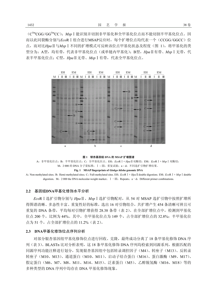 银杏基因组DNA甲基化修饰位点的MSAP分析_第4页