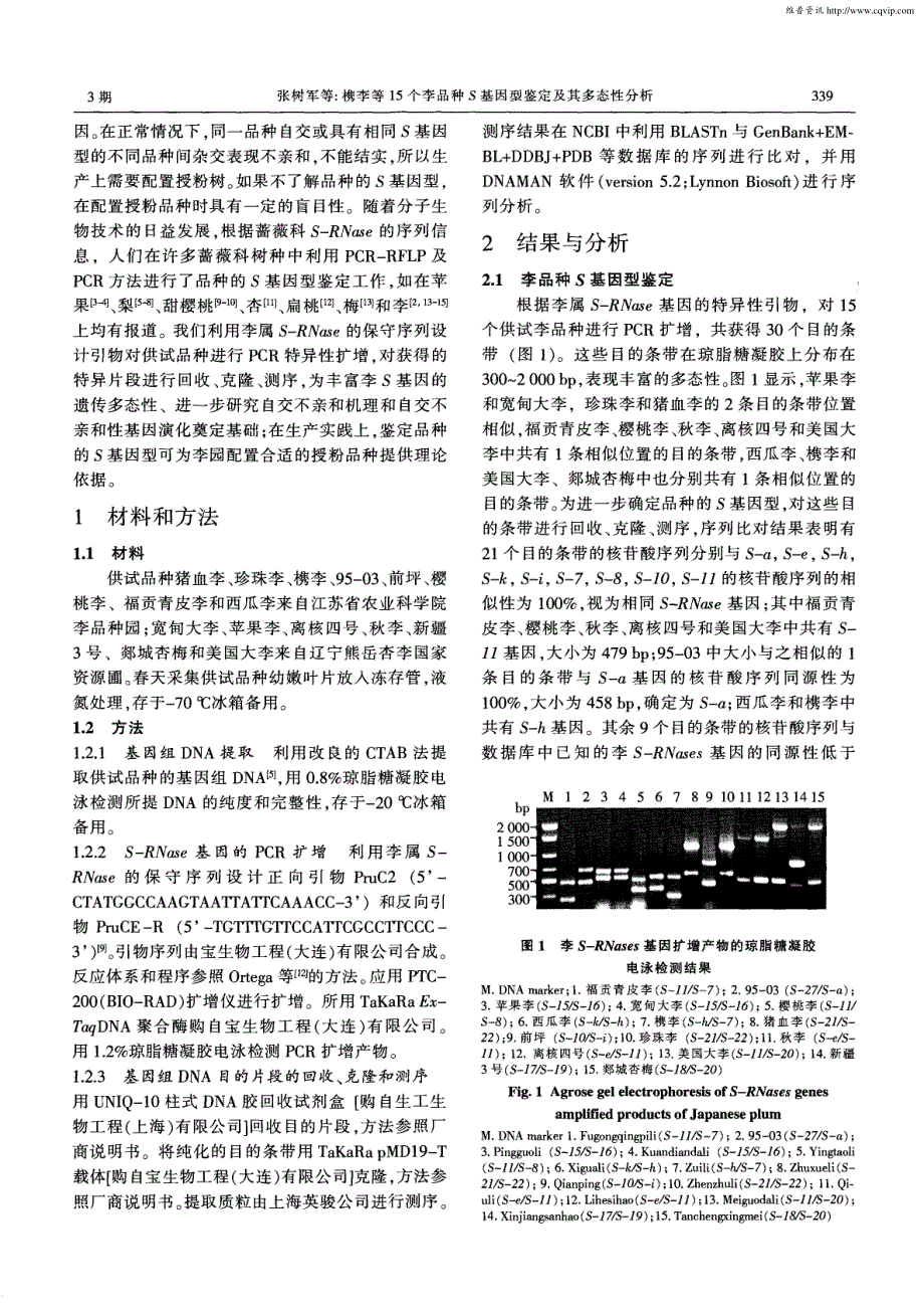 槜李等15个李品种S基因型鉴定及其多态性分析_第2页
