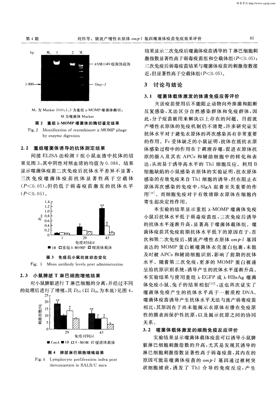 猪流产嗜性衣原体omp-1基因噬菌体疫苗免疫效果评价_第4页