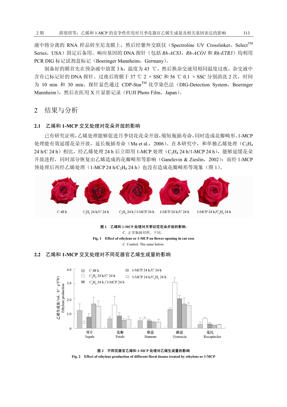 乙烯和1-MCP的竞争性作用对月季花器官乙烯生成量及相关基因表达的影响_第3页