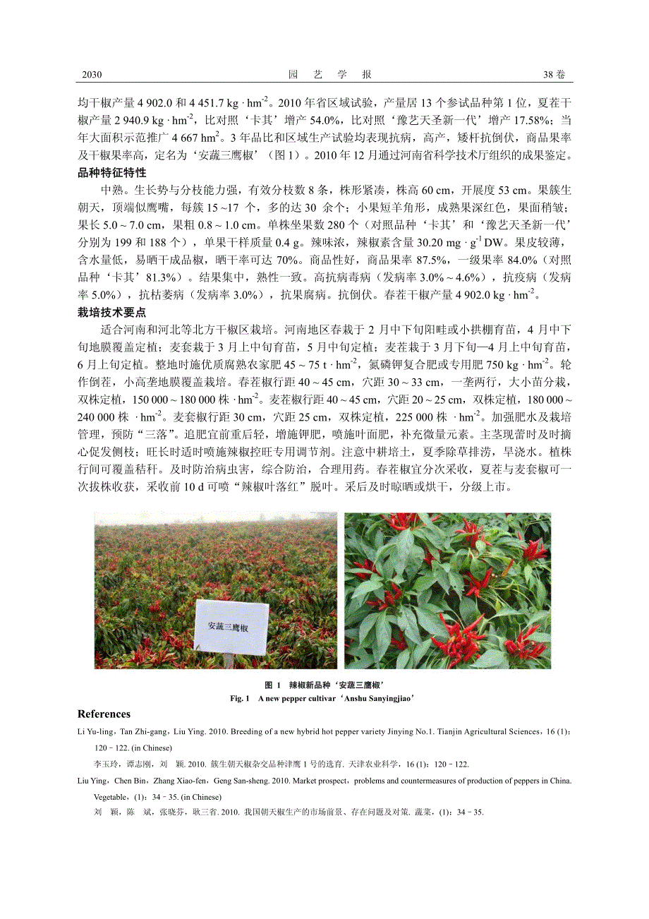 朝天椒新品种‘安蔬三鹰椒’_第2页