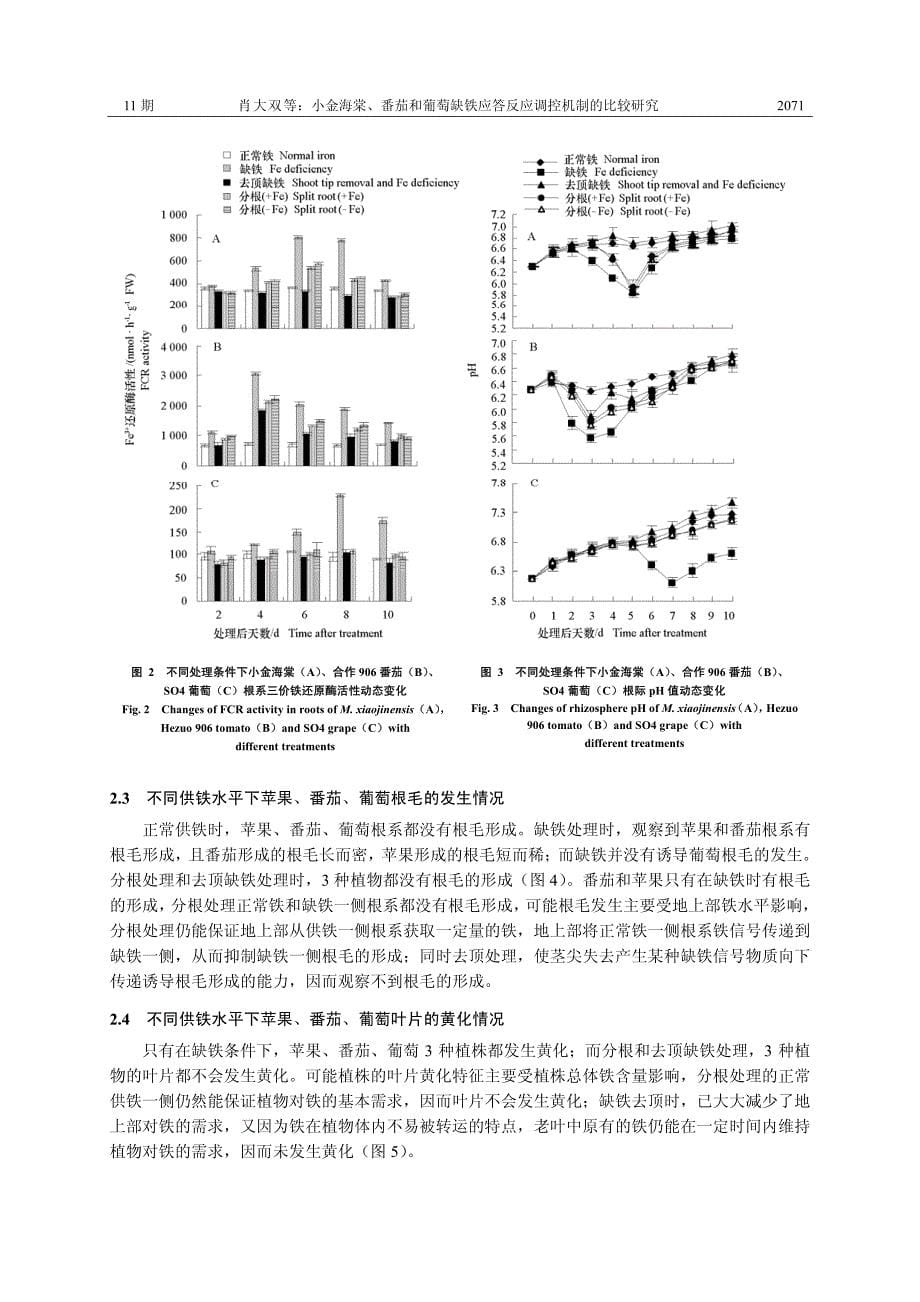 小金海棠、番茄和葡萄缺铁应答反应调控机制的比较研究_第5页