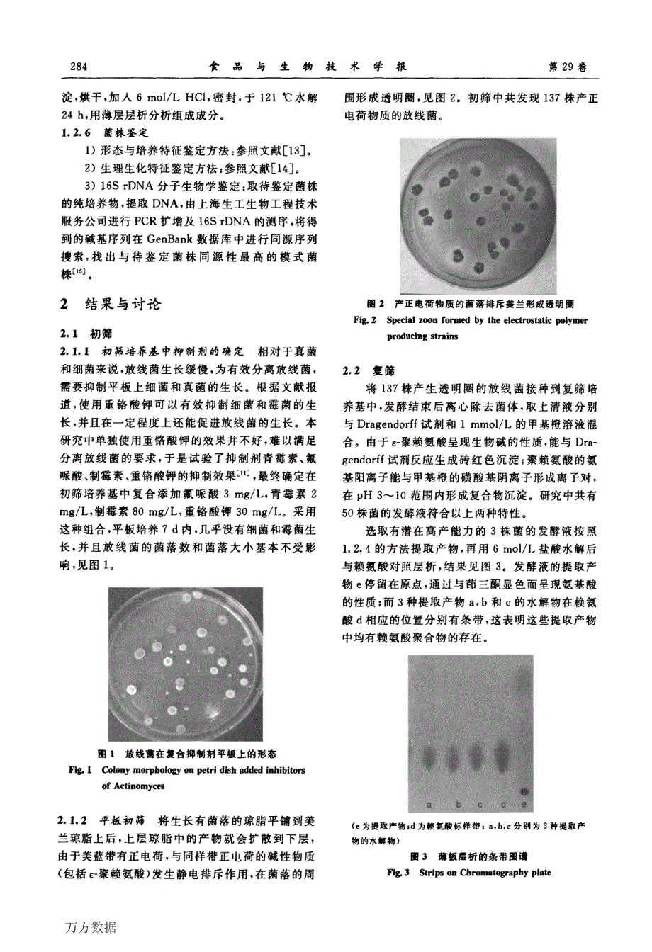 ε聚赖氨酸产生菌的筛选方法改进_第3页