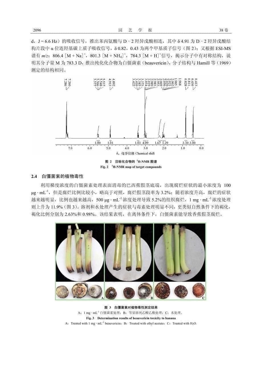 香蕉枯萎病菌新毒素——白僵菌素的鉴定_第5页