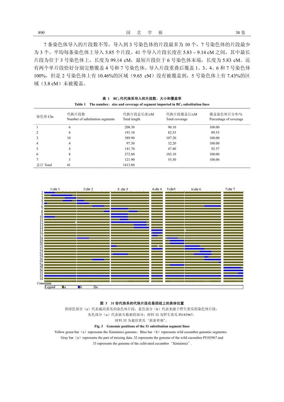 野生黄瓜代换系的构建_第5页