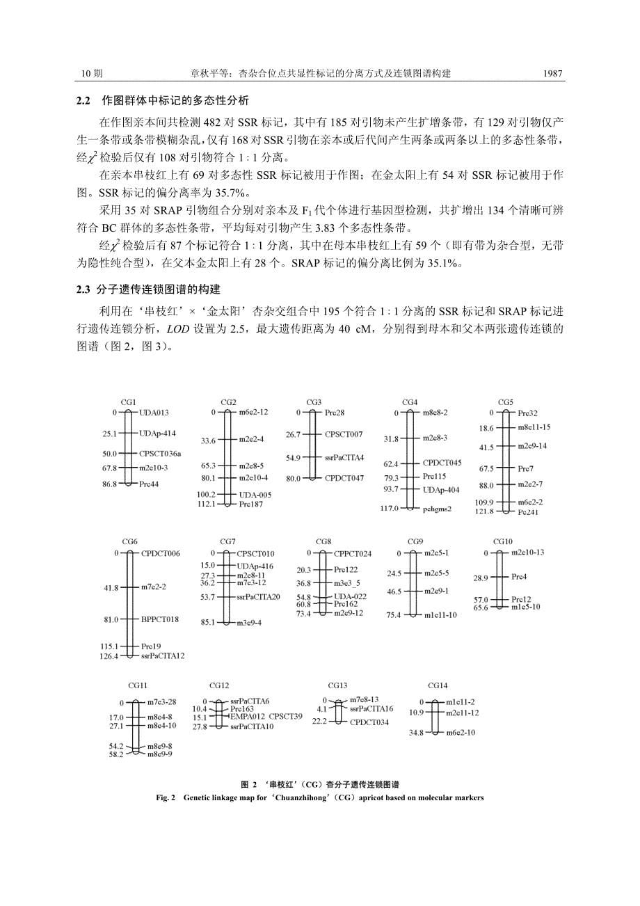 杏杂合位点共显性标记的分离方式及连锁图谱构建_第5页