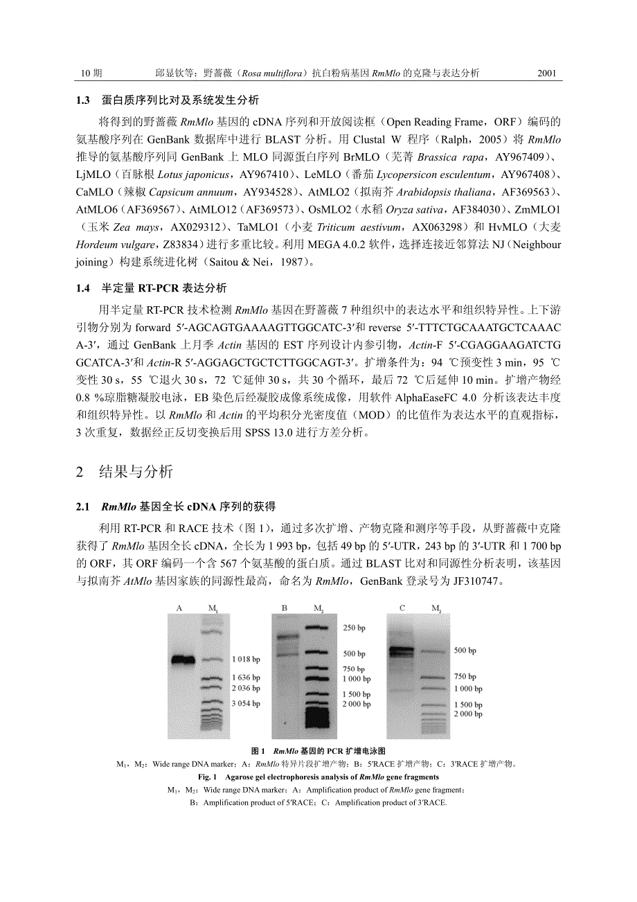 野蔷薇（Rosa multiflora）抗白粉病基因RmMlo的克隆与表达分析_第3页