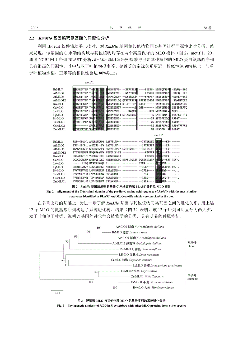 野蔷薇（Rosa multiflora）抗白粉病基因RmMlo的克隆与表达分析_第4页