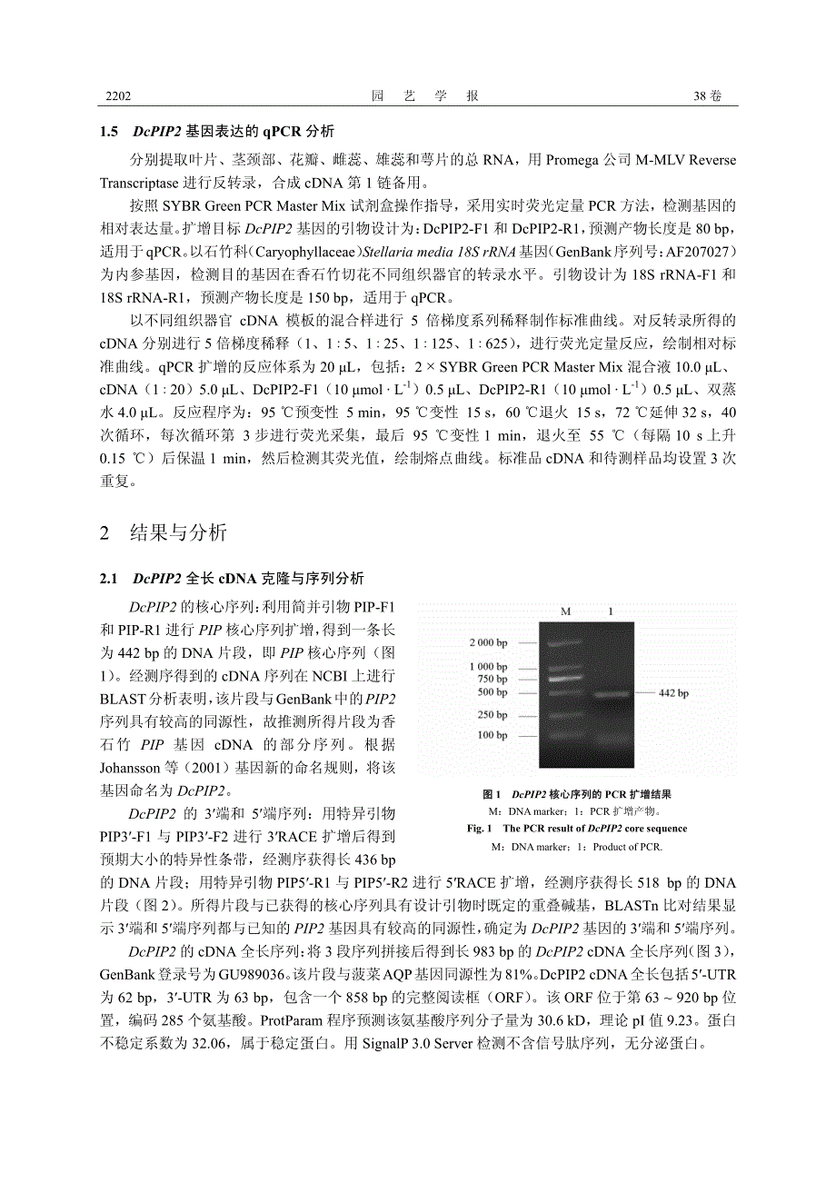 香石竹切花水孔蛋白基因DcPIP2的克隆及特征分析_第4页