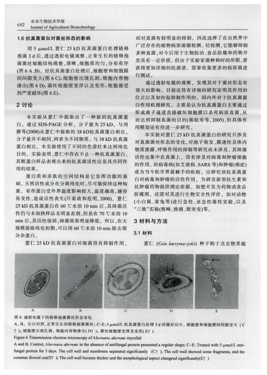 一种从薏仁种子中提取出来的抗真菌蛋白_第4页