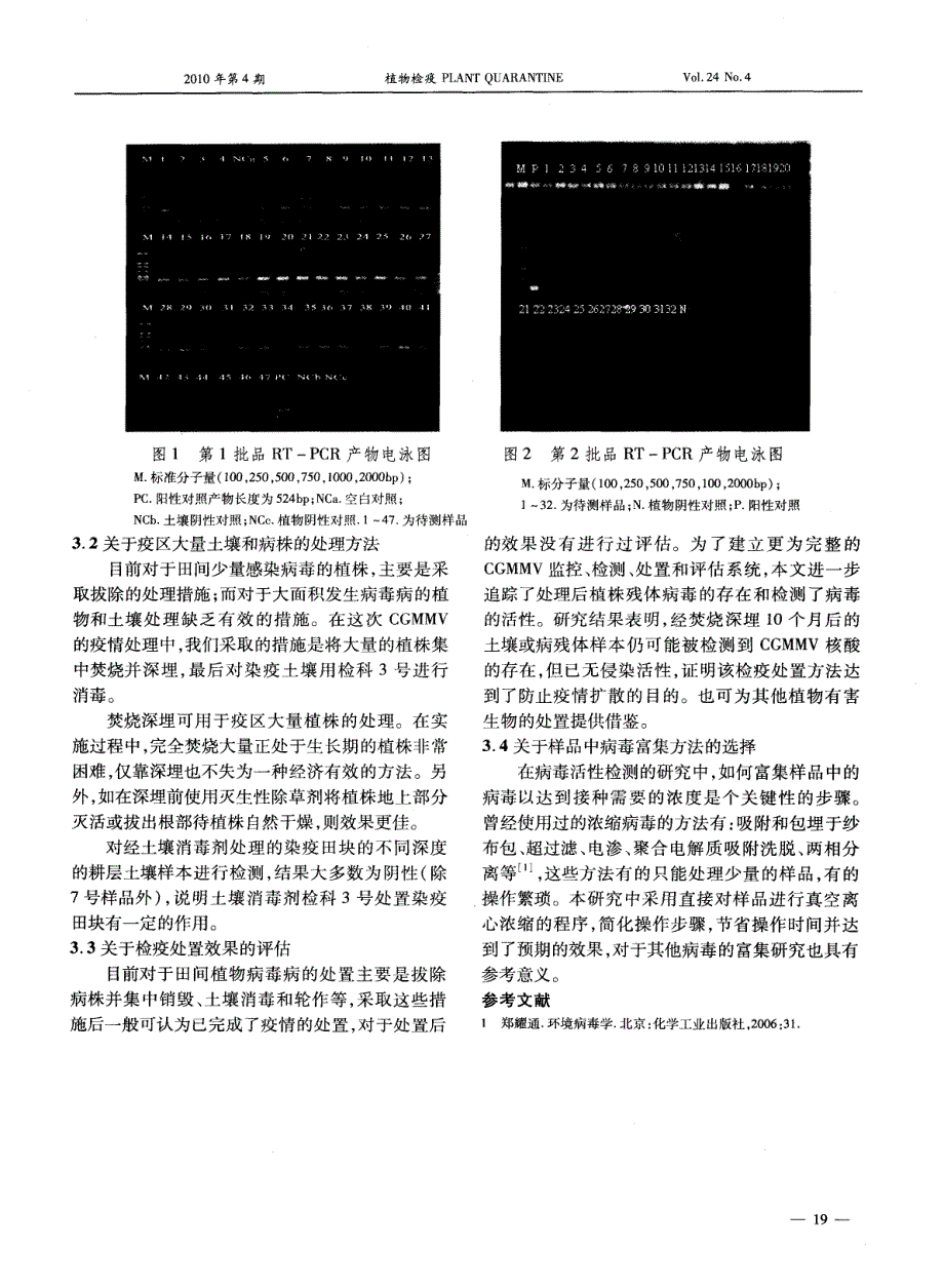 黄瓜绿斑驳花叶病毒疫情处置效果的研究_第4页