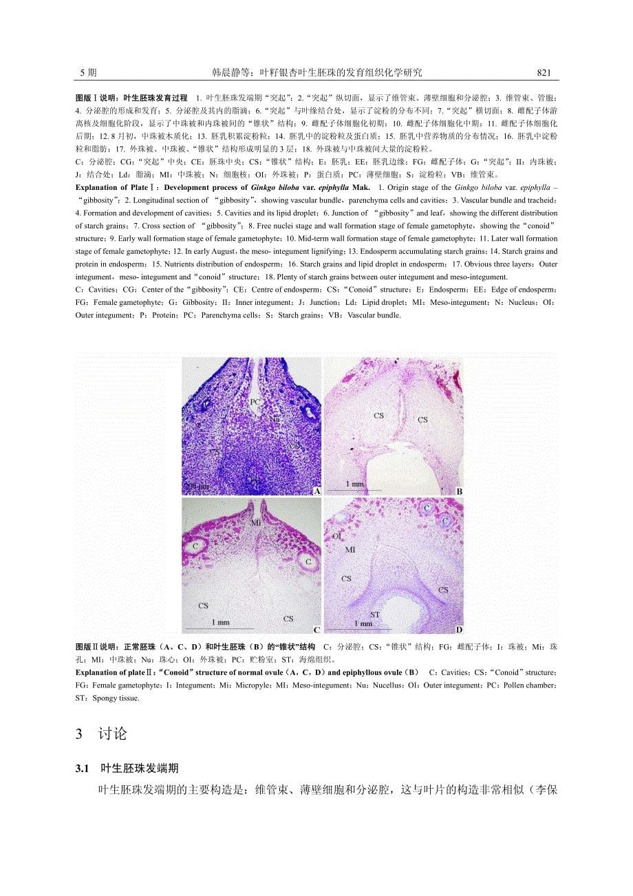 叶籽银杏叶生胚珠的发育组织化学研究_第5页