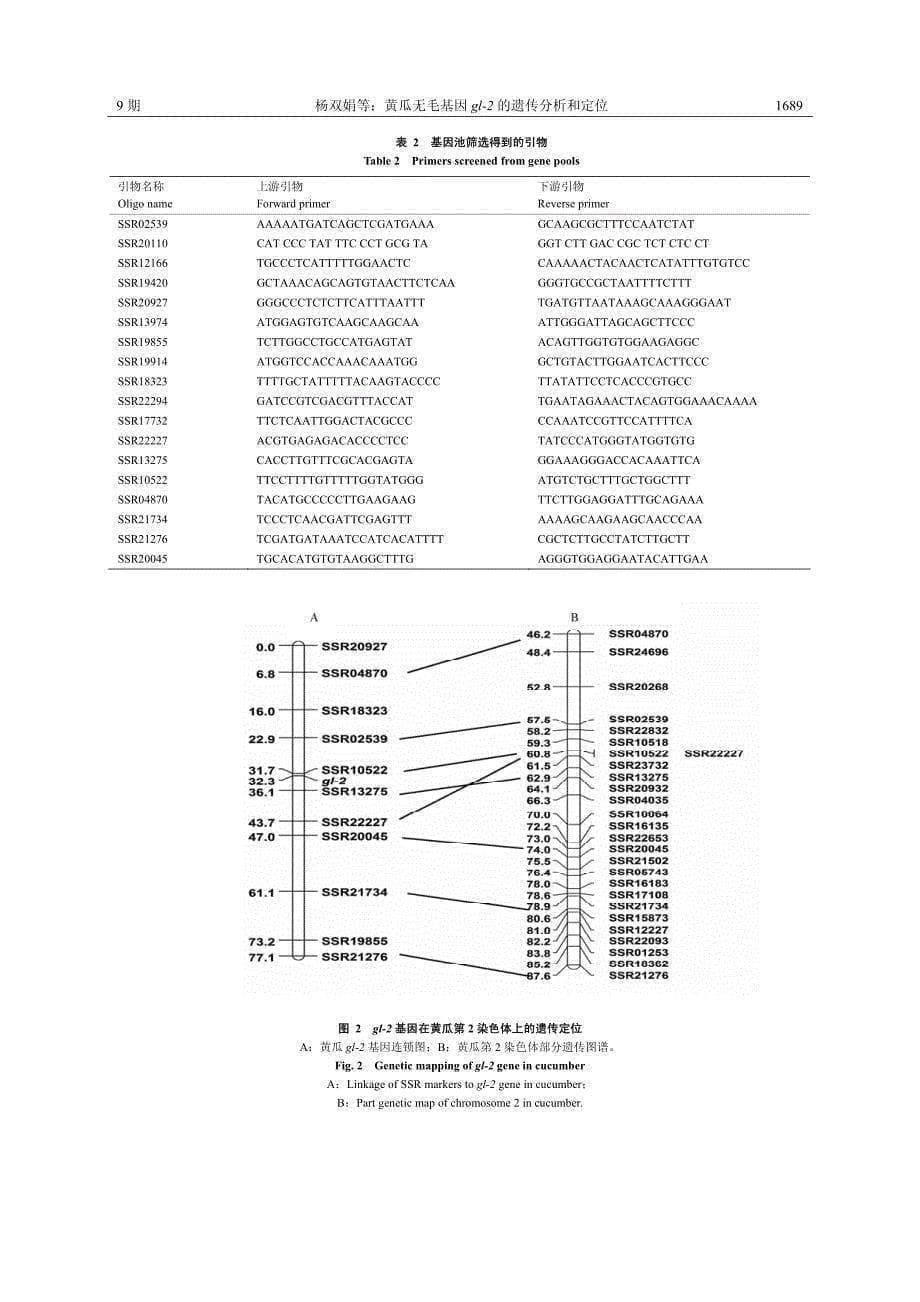 黄瓜无毛基因gl-2的遗传分析和定位_第5页