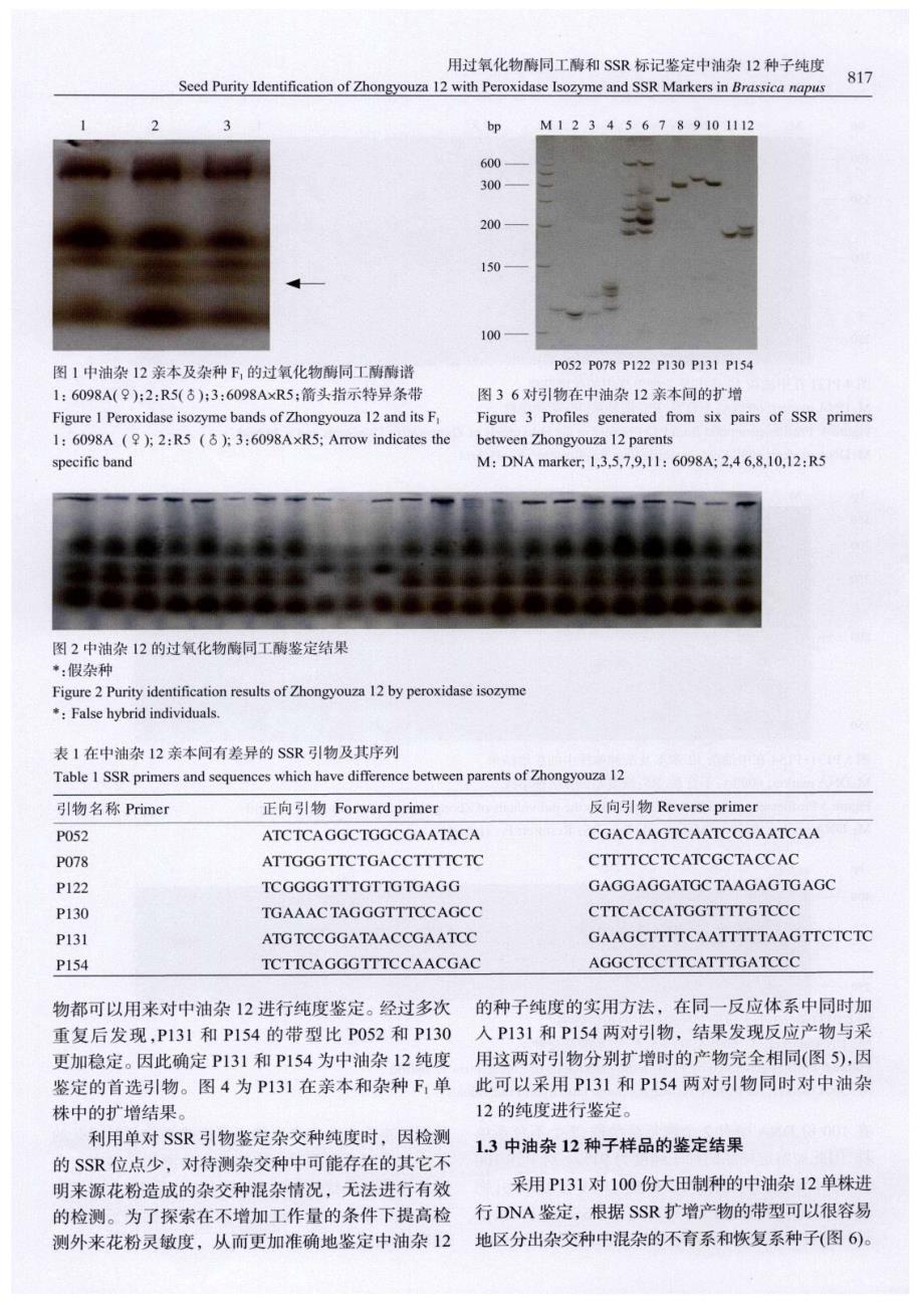 用过氧化物酶同工酶和SSR标记鉴定中油杂12种子纯度_第3页