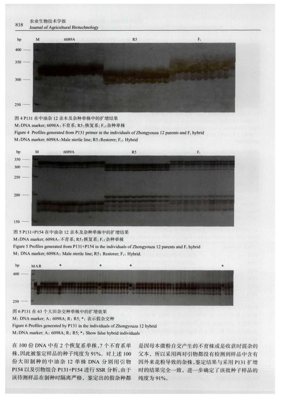 用过氧化物酶同工酶和SSR标记鉴定中油杂12种子纯度_第4页