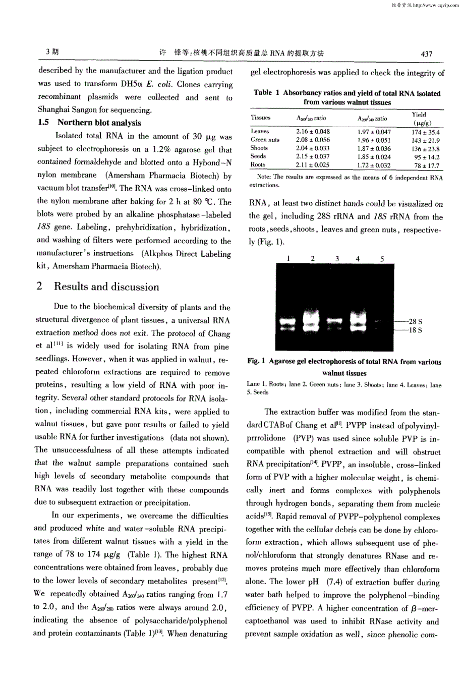 核桃不同组织高质量总RNA的提取方法_第3页