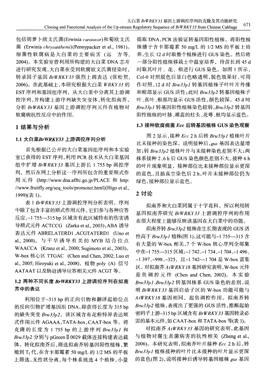 大白菜BrWRKY33基因上游调控序列的克隆及其功能研究_第2页