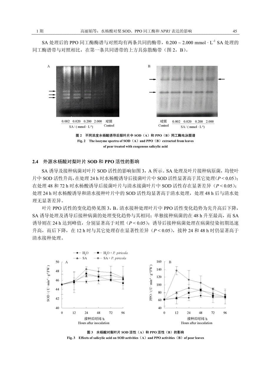 水杨酸对梨SOD、PPO 同工酶和NPR1 表达的影响_第5页