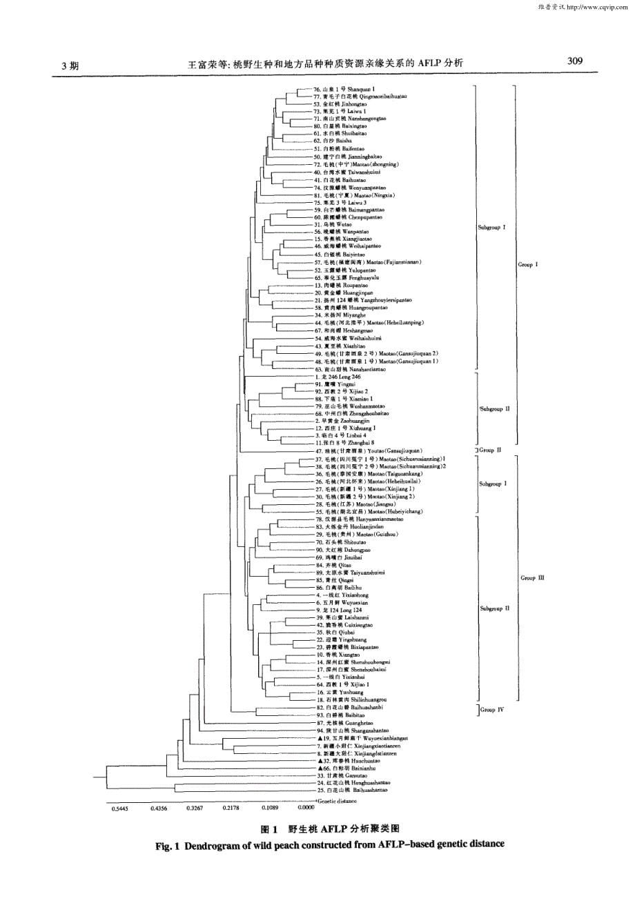 桃野生种和地方品种种质资源亲缘关系的AFLP分析_第5页