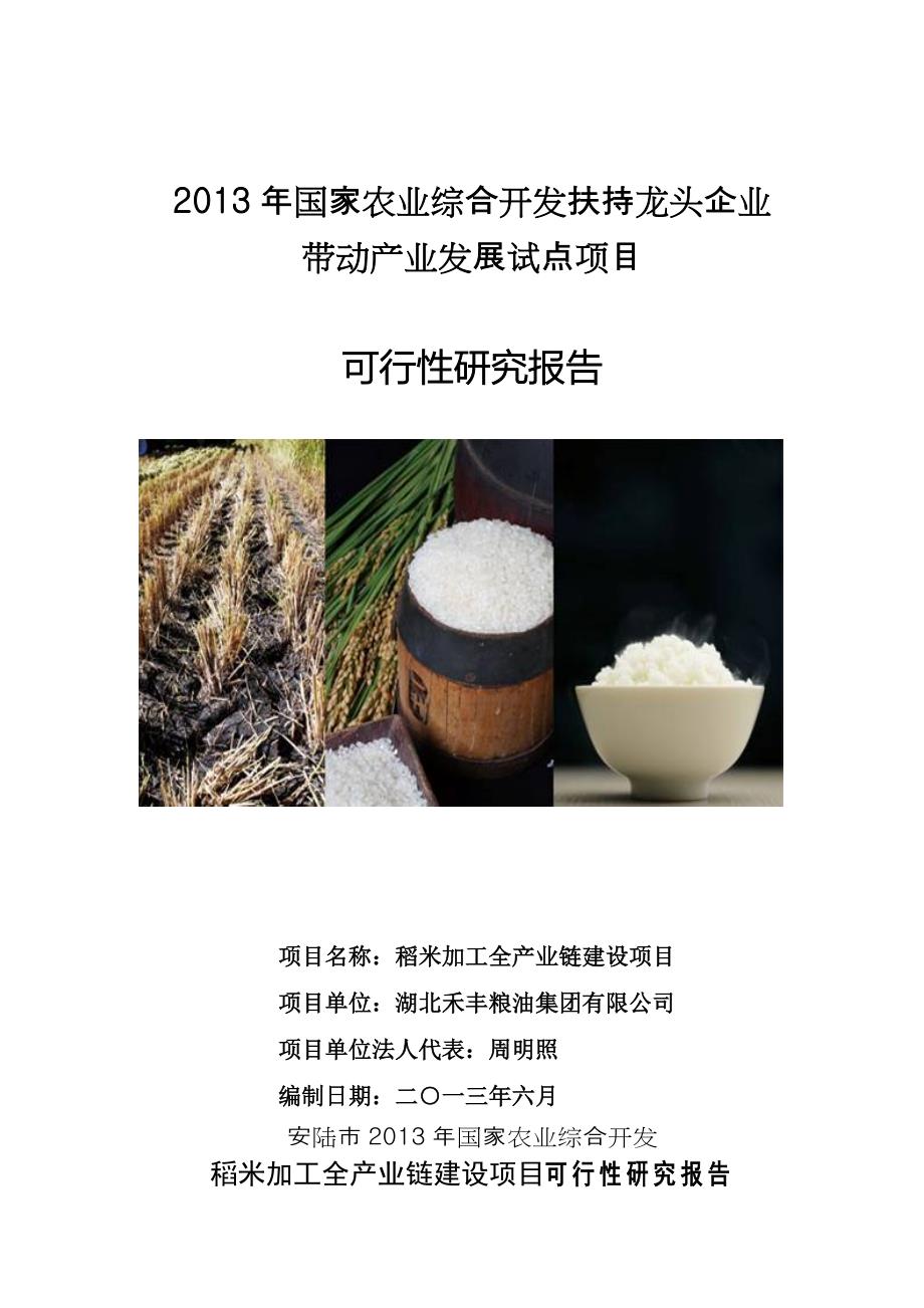 湖北____公司—稻米加工全产业链建设项目可行性研究报告_第1页