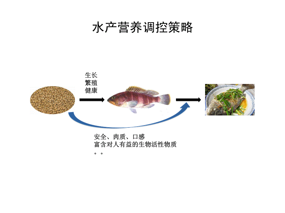 2012动物营养年会课件：水产动物分子营养学现状与展望_第4页