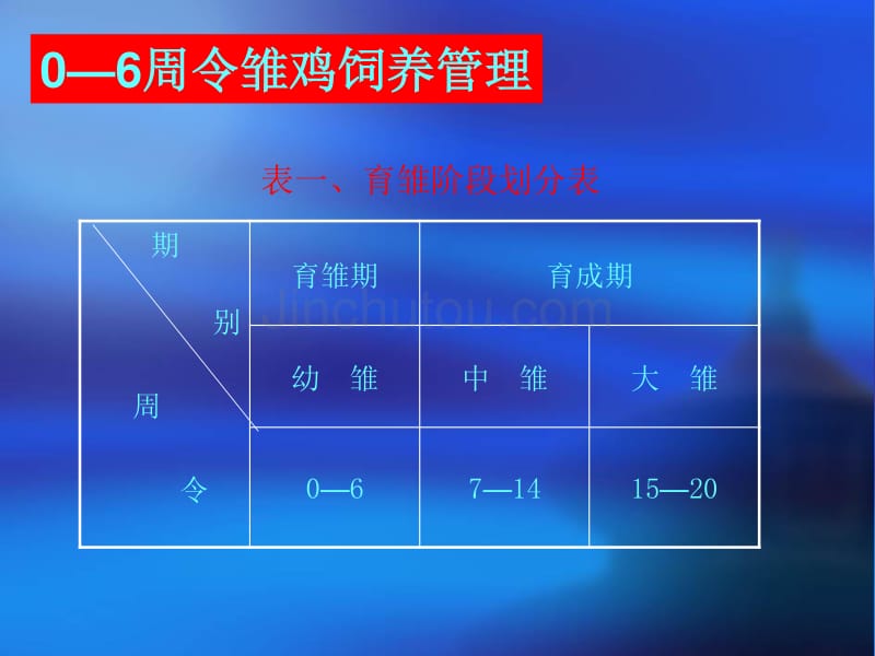 0—6周令雏鸡饲养管理技术--陕西省乾县农广校_第2页