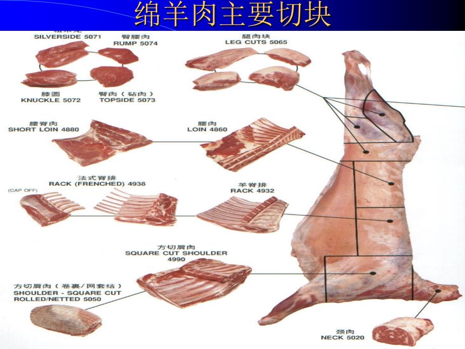 澳洲肉品手册-绵羊肉_第3页