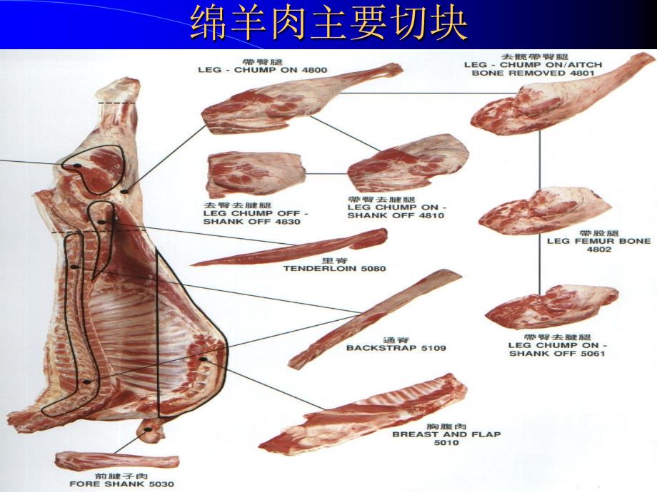 澳洲肉品手册-绵羊肉_第4页