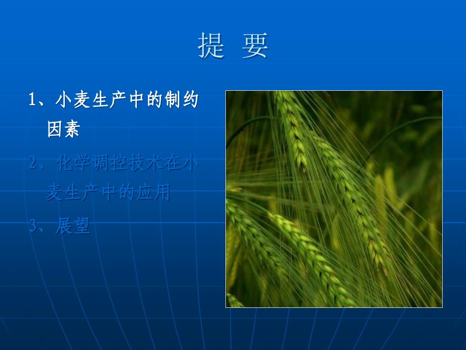 粮食作物新技术试验示范总结交流会课件-小麦的化学调控技术_第3页