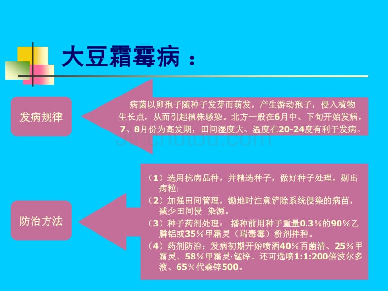 农业种植业技术培训课件-高油大豆主要病害防治--黑龙江省哈尔滨市农广校_第4页