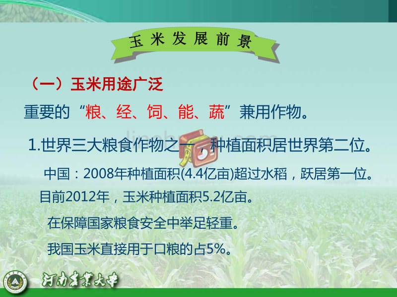 粮食作物新技术试验示范总结交流会课件-夏玉米高产高效栽培技术 (PPTminimizer)_第3页