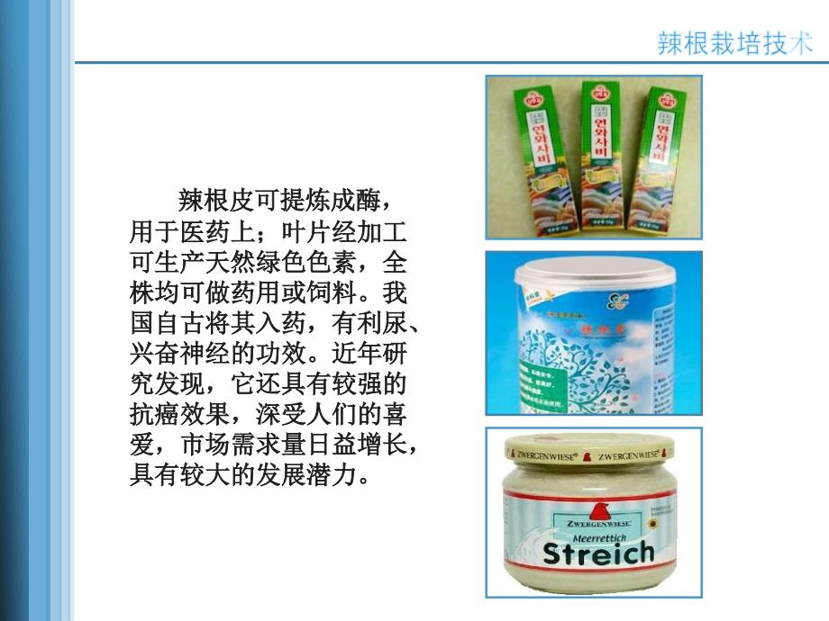 农业种植业技术培训课件-辣根栽培技术--江苏省大丰市农广校_第3页