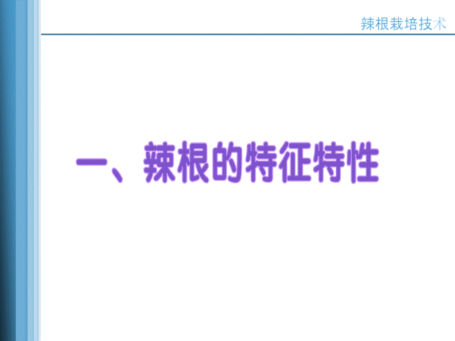 农业种植业技术培训课件-辣根栽培技术--江苏省大丰市农广校_第4页