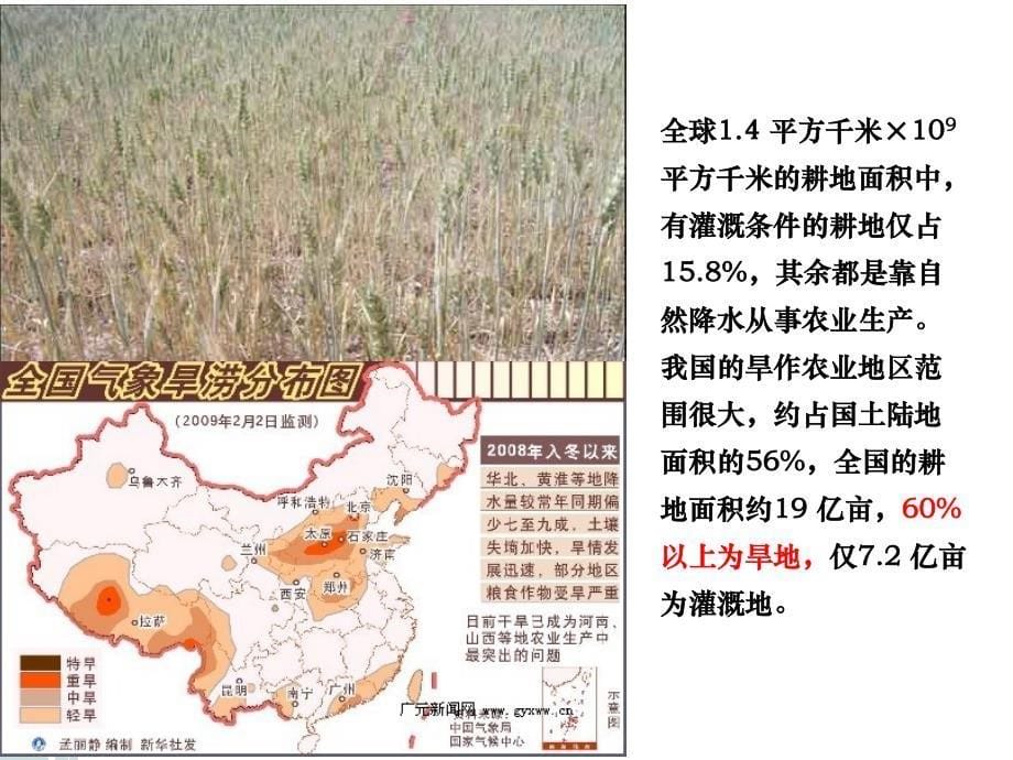 旱地小麦节水高产栽培技术--林琪_第5页