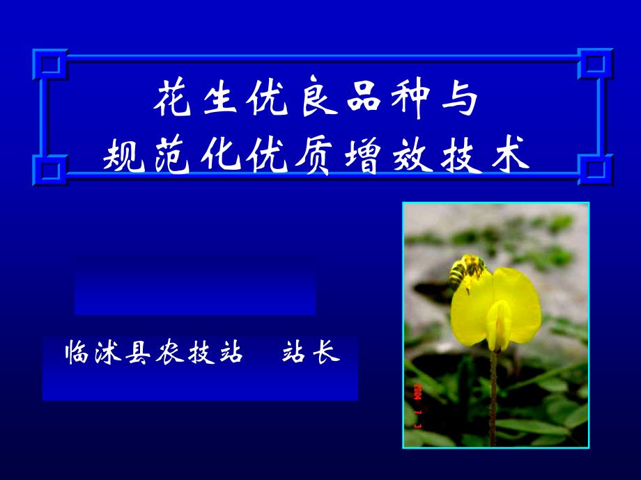 花生优良品种与规范化优质增效技术---临沭农技站_第1页