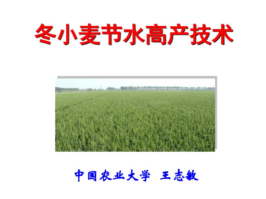王志敏-冬小麦节水高产技术_第1页