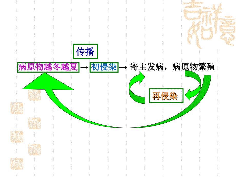 病害循环_第4页