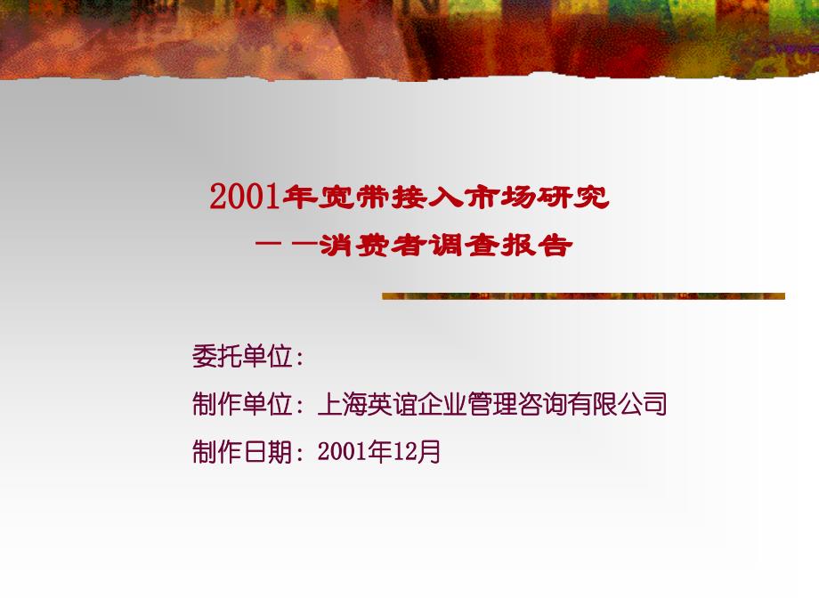 52  宽带接入个人目标消费群研究报告200112清华汉魅_第1页
