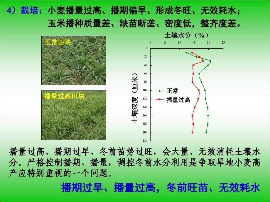 王朝辉-西北旱区小麦高产高效优质的栽培施肥研究_第5页